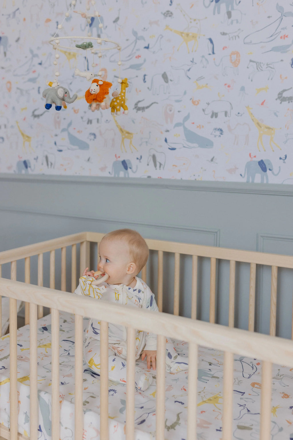 Crib Sheet Into The Wild