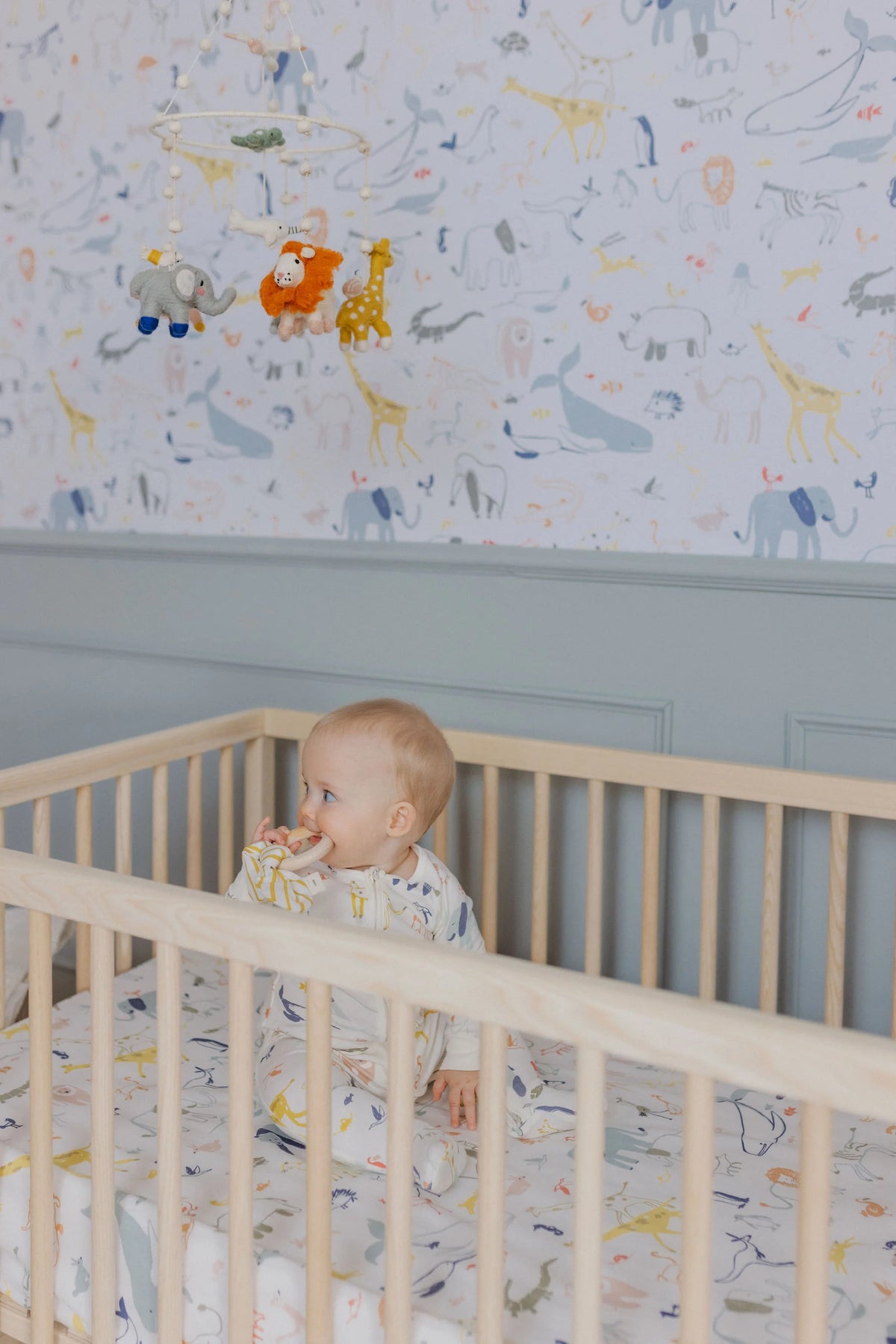 Crib Sheet Into The Wild