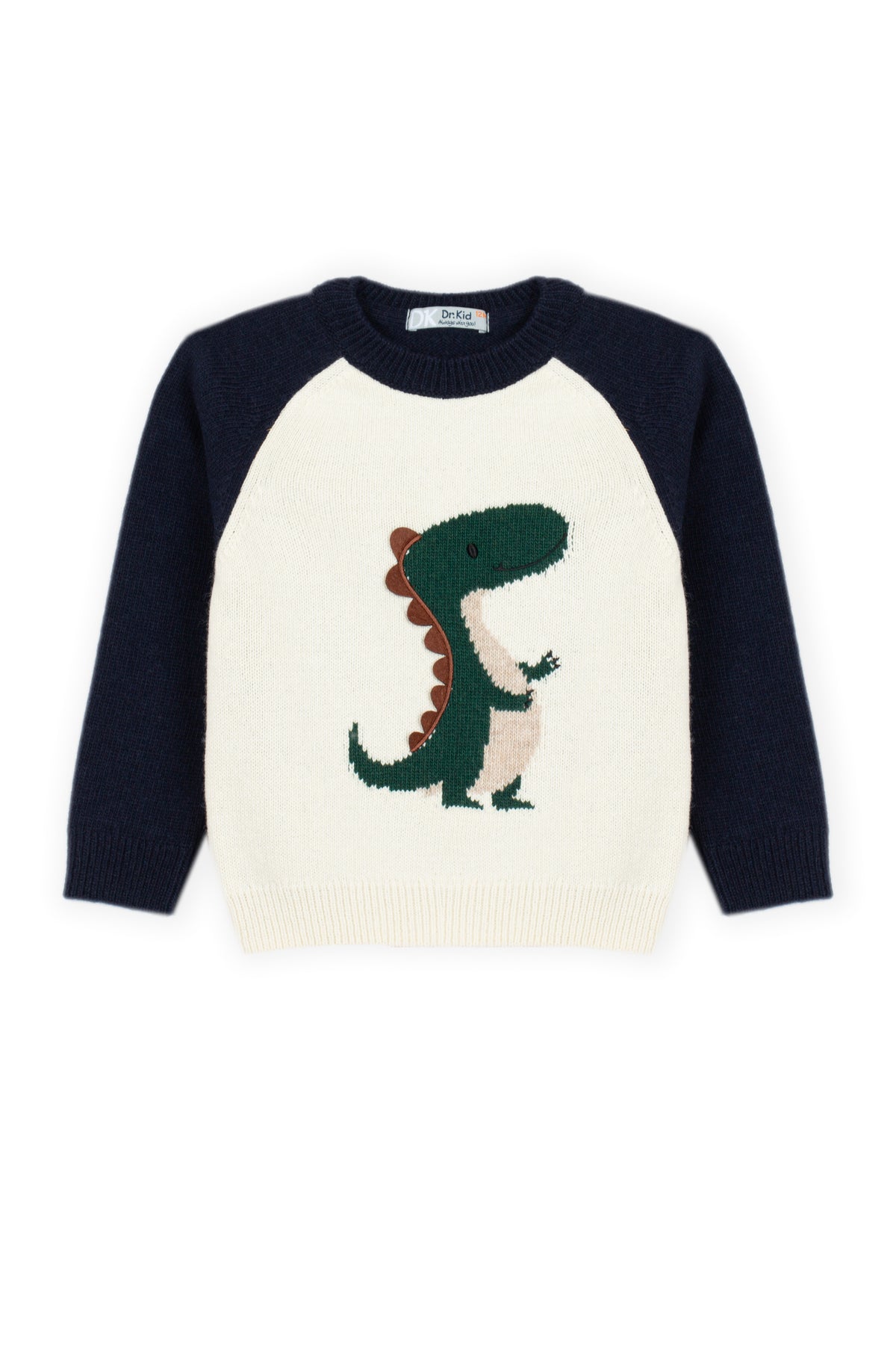 Dino Sweater